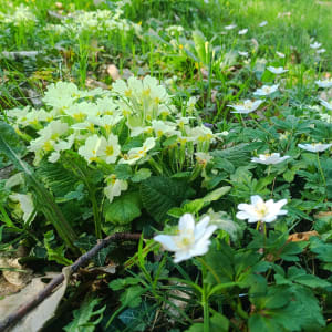 Sur les hauteurs de Jardin - Jardin - 5