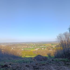Sur les hauteurs de Jardin - Jardin - 7