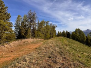 Chemin de l écureuil - Risoul - 7