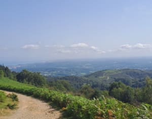 Le col d'Ibardin depuis Herburu - Urrugne - 11