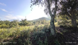 La cascade de Laroque par le Chemin des Disputes - Laroque-des-Albèrès - 40