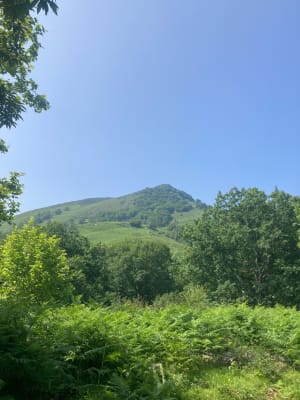 Tour du Pic de l'Ibanteli et chevaux pottoks - Andréa - 4