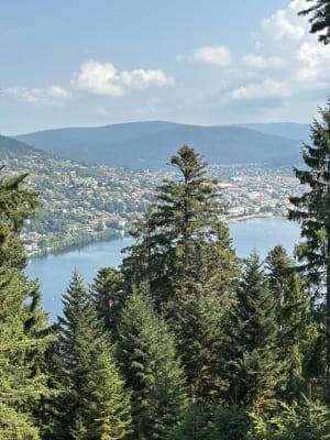 Saut de la Bourrique et Tête de Mérelle à Géradmer - Gérardmer - 9