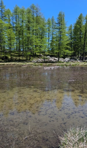 Lac des Grenouilles depuis le Pont de l'Abrau - Allos - 17