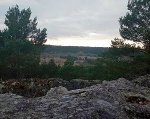 Plaine de Chanfroy Monument des fusillés - Tour de la Vierge - Arbonne-la-Forêt - 5