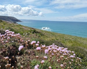 Kaap van de Geitenlus vanuit Saint-Hernot - Crozon - 64