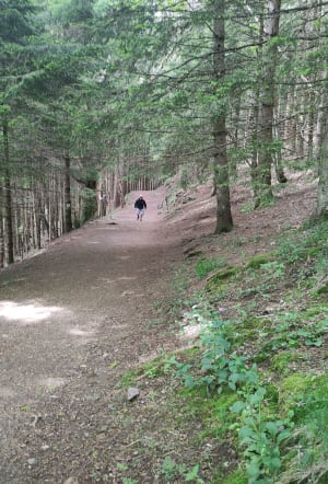 De grote waterval van Mont-Dore en zijn onweerstaanbare charme - Mont-Dore - 37