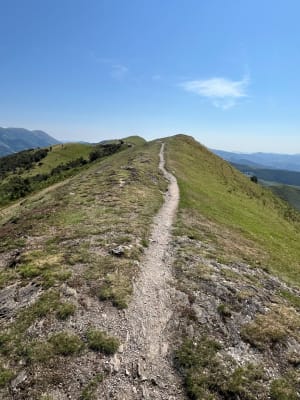 Pic du Mondarain et crêtes jusqu'au Gorospil - Espelette - 7