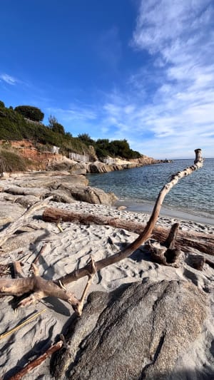 Sortie au Cap Taillat - Nicolas - 33