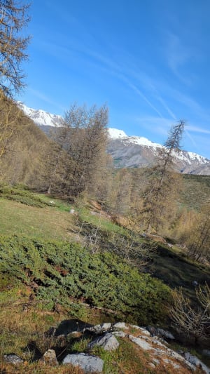 Tête de la Frema - Saint-Paul-sur-Ubaye - 8