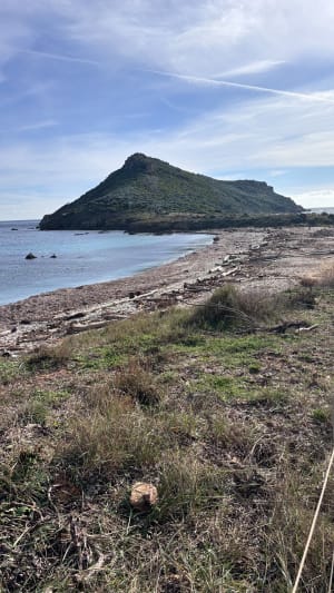 Sortie au Cap Taillat - Nicolas - 34