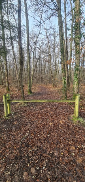 Liaison Morchene, chemin de Bourges à Saint-Cyr - Saint-Cyr-en-Val - 3