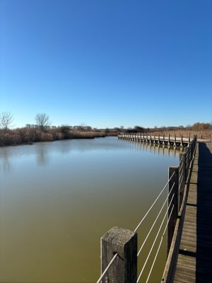 Port Arianne et la maison de la nature à l'Etang du Méjean - Lattes - 12