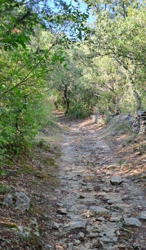 Arpaillargues, son château et terres viticoles - Arpaillargues-et-Aureillac - 7