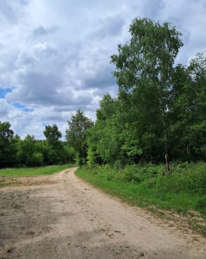 Bois du Croc - Torcy-le-Petit - 3