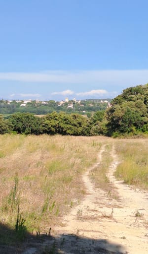 Arpaillargues, son château et terres viticoles - Arpaillargues-et-Aureillac - 9