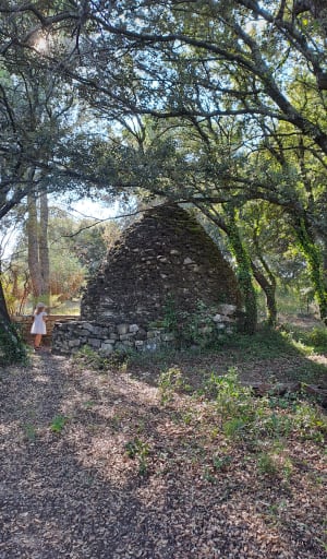 Arpaillargues, son château et terres viticoles - Arpaillargues-et-Aureillac - 10