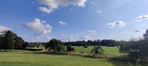 Sur les hauts de Coulommiers - Coulommiers - 7
