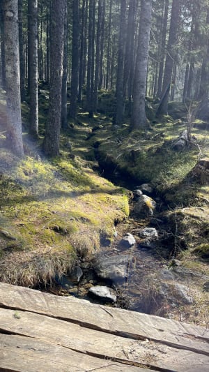 Sentier du granit - Chamonix-Mont-Blanc - 9