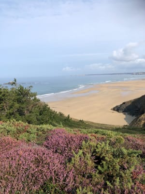 Kaap van de Geitenlus vanuit Saint-Hernot - Crozon - 18