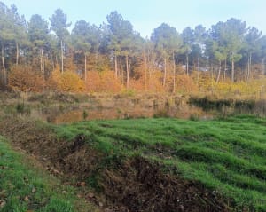 Les bois de Corzé - Sol - 3