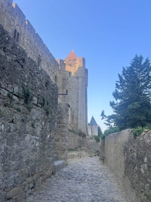 Parcours santé Carca - Carcassonne - 8