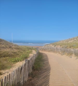 Sauveterre, belle balade entre forêt et plage - DENIS - 2