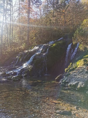 Chemin de la cascade du pissieux - Lescheraines - 18