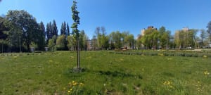 Szachta Gliwice Sośnica - Gliwice - 6
