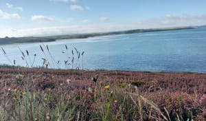 En longeant la mer de Treguer - Ploéven - 14