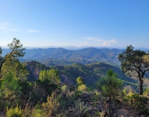 Mandelieu-la-Napoule depuis les hauteurs et riche passé - Mandelieu-la-Napoule - 57