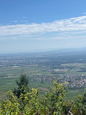 Rando des trois châteaux - Husseren-les-Châteaux - 3