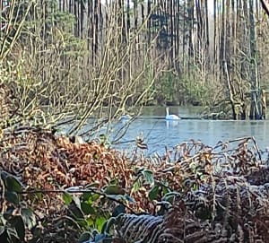 Ronde van de Vijver van de Bron en wilde rit in Sologne - Argent-sur-Sauldre - 9