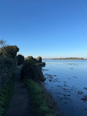 Ontsnap naar Belz en wandel over het mysterieuze eiland Saint-Cado - Belz - 31