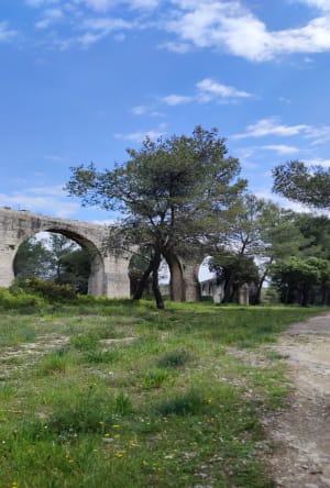L'Aqueduc Castries et sa balade nature - Castries - 6