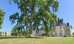Tour du domaine des Ormes - Epiniac - 3