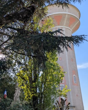 Belle balade ds Neuville de Poitouitou - laetitia - 7