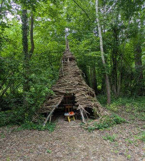 Bois de Coulvagny - Aulnay-l'Aître - 7