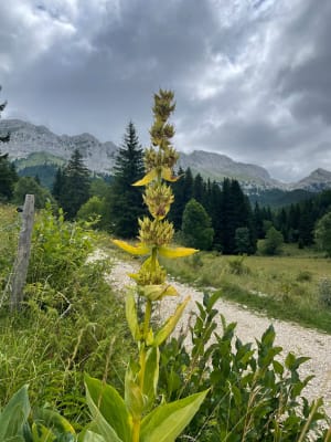 Les Glovettes - Preys weilandenmeer - Villard de Lans - 4