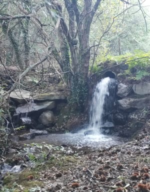 Belle balade au pied de Zuhalmendi - Ascain - 14