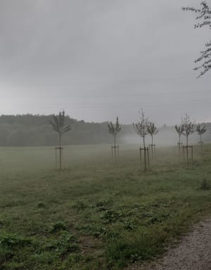 Spacer po Retkinii - Łódź - 6