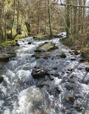Devil's Breach en Marie Joly Natuurpad - Potigny - 19