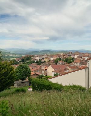 Du côté du Puy de Saint-Romain et des rives de l'Allier - Mirefleurs - 8