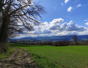 Circuit des Ondes - Hauteville-sur-Fier - 10