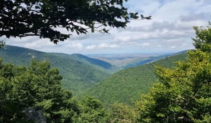 Balade entre forêts et pelouses de l'Aigoual - Val d'Aigoual - Mont Aigoual - 15
