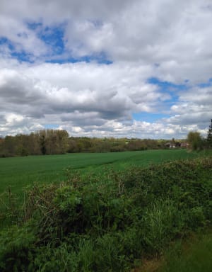 La petite boucle de la Viette - Saint-Pardoux-Soutiers - 6