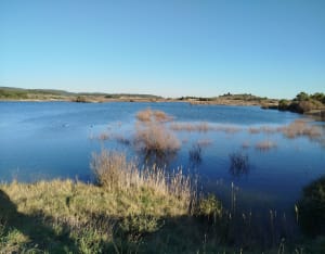 Balade champêtre sur Argens Minervois et Lac des Aiguilles - Argens-Minervois - 14