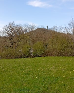 Mont Thou en zijn cabornes, overblijfselen uit het verleden - Saint-Cyr-au-Mont-d'Or - 61