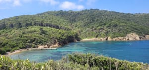 Tour de l'île de Port-Cros et découverte de sa flore - Hyères - 4