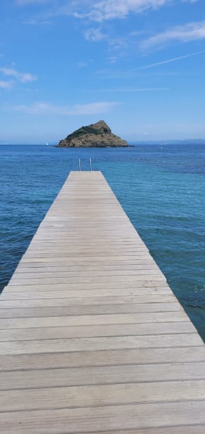 Tour de l'île de Port-Cros et découverte de sa flore - Hyères - 5
